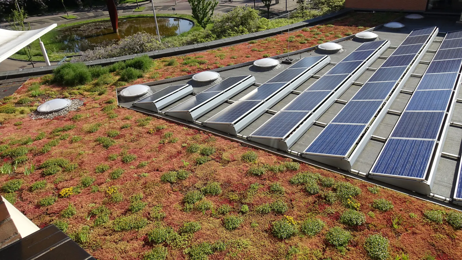 Groen sedumdak met zonnepanelen